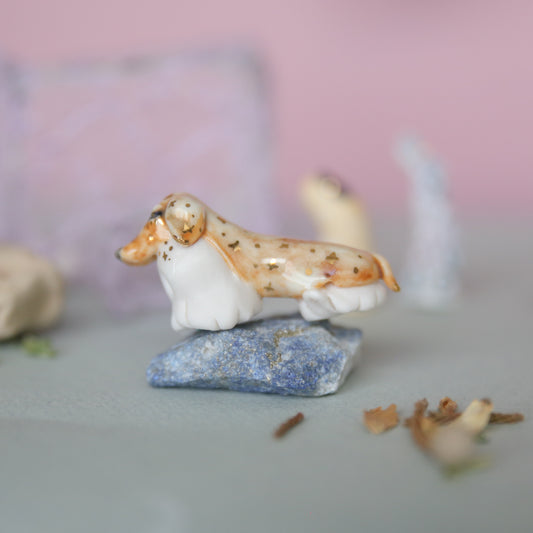 dashchund spirit ghostie
