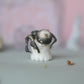 spider spirit ghostie